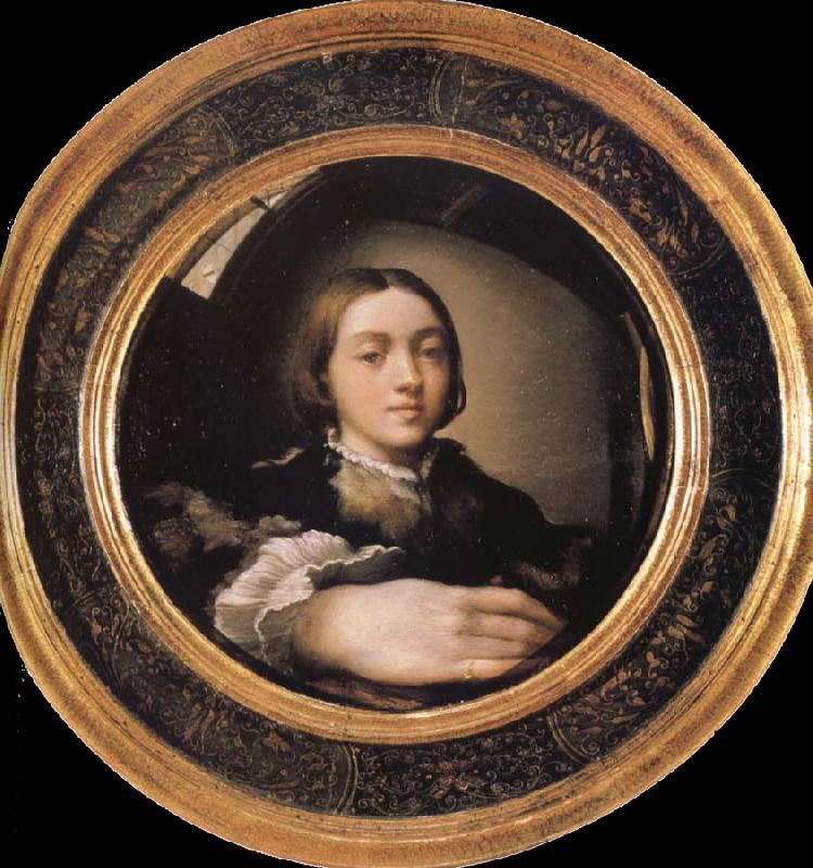 Francesco Parmigianino Self-portrait in a Convex Mirror oil painting image